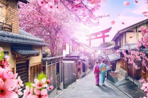 JAPAN: Trešnjin cvet u punom cvatu u Tokiju (VIDEO)