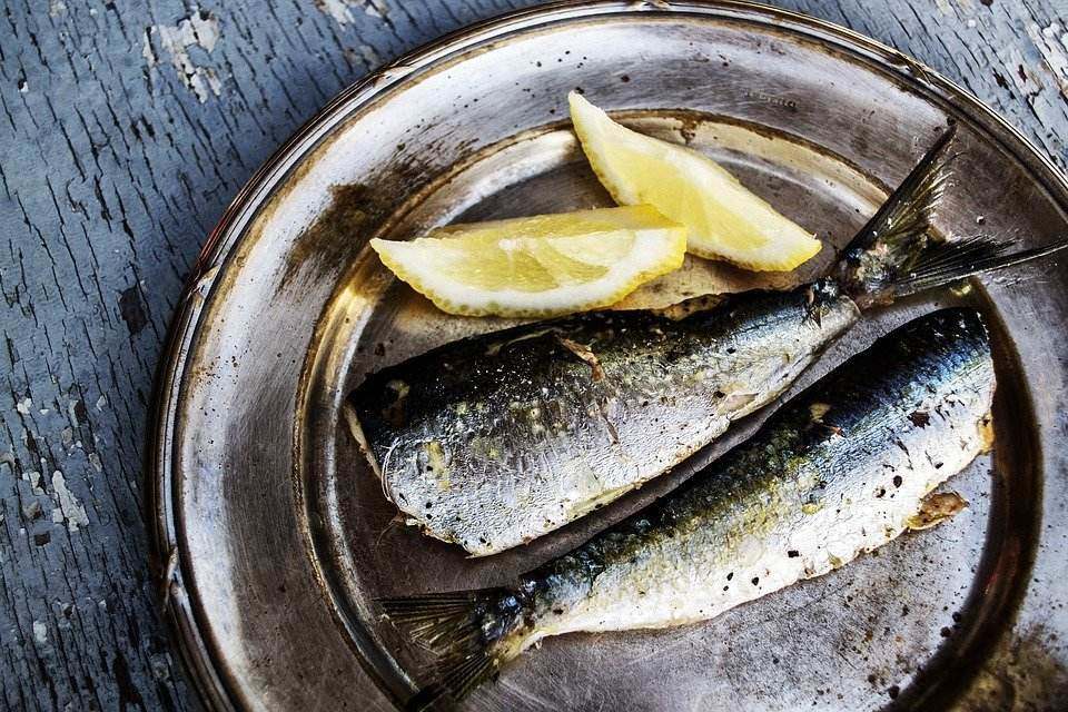 DAŠAK GRČKE ZA STOLOM! Sveža i ukusna mediteranska ishrana!