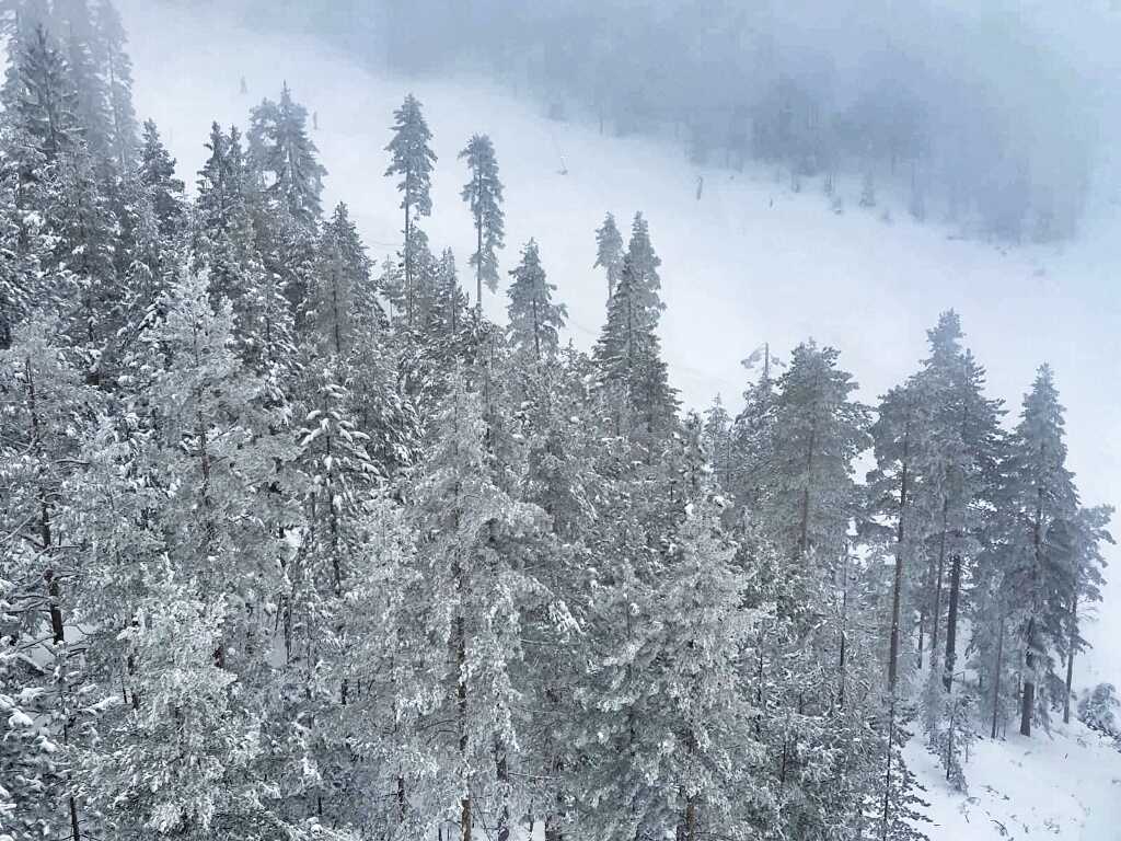 LET IZNAD ZLATNIH BOROVA: SVETSKA, A NAŠA, NAJDUŽA GONDOLA NA SVETU!