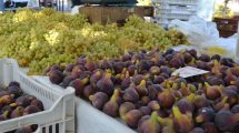 Stiže sezona smokvi: Evo koliko je ovo voće korisno i zdravo