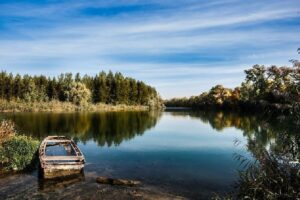 Analize vode: Da li je bezbedno kupanje u Dunavu i Savi?