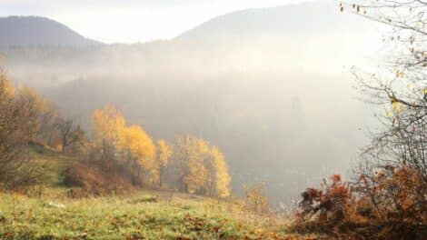 planina